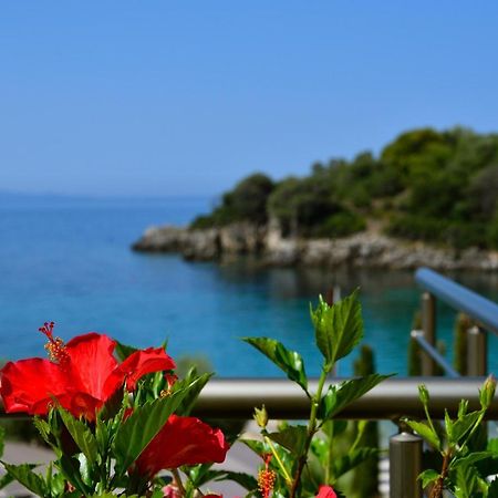 Prima Vista Beachfront Boutique Hotel Сівота Екстер'єр фото